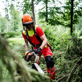 20190614_KUEBLER_REPORTAGE_FORST_0836 20190614_KUEBLER_REPORTAGE_FORST_0836